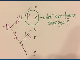 Hand drawn slides for talk for #PSB17 on Evolution and functional prediction