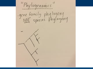 Hand drawn slides for talk for #PSB17 on Evolution and functional prediction