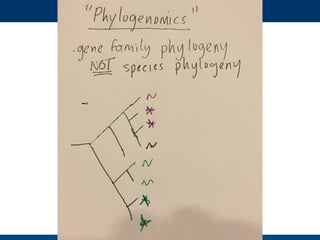 Hand drawn slides for talk for #PSB17 on Evolution and functional prediction