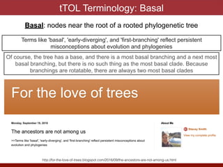 The Twisted Tree of Life (tTOL) Awards | PDF