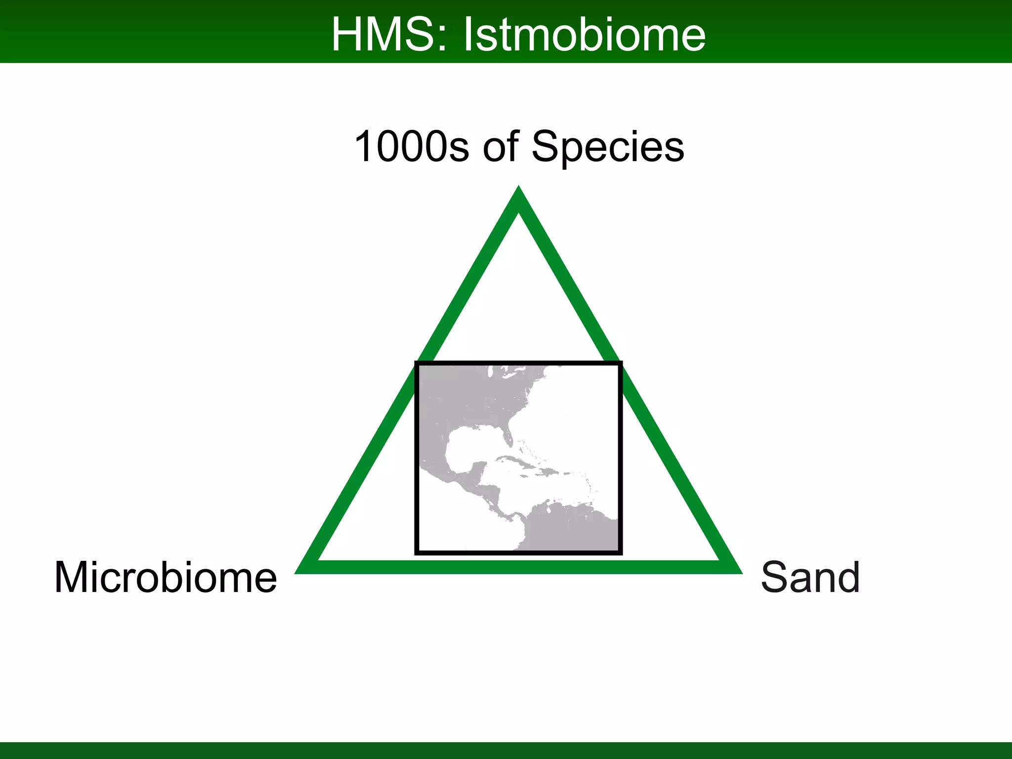 Genomics of Chemosymbionts
 