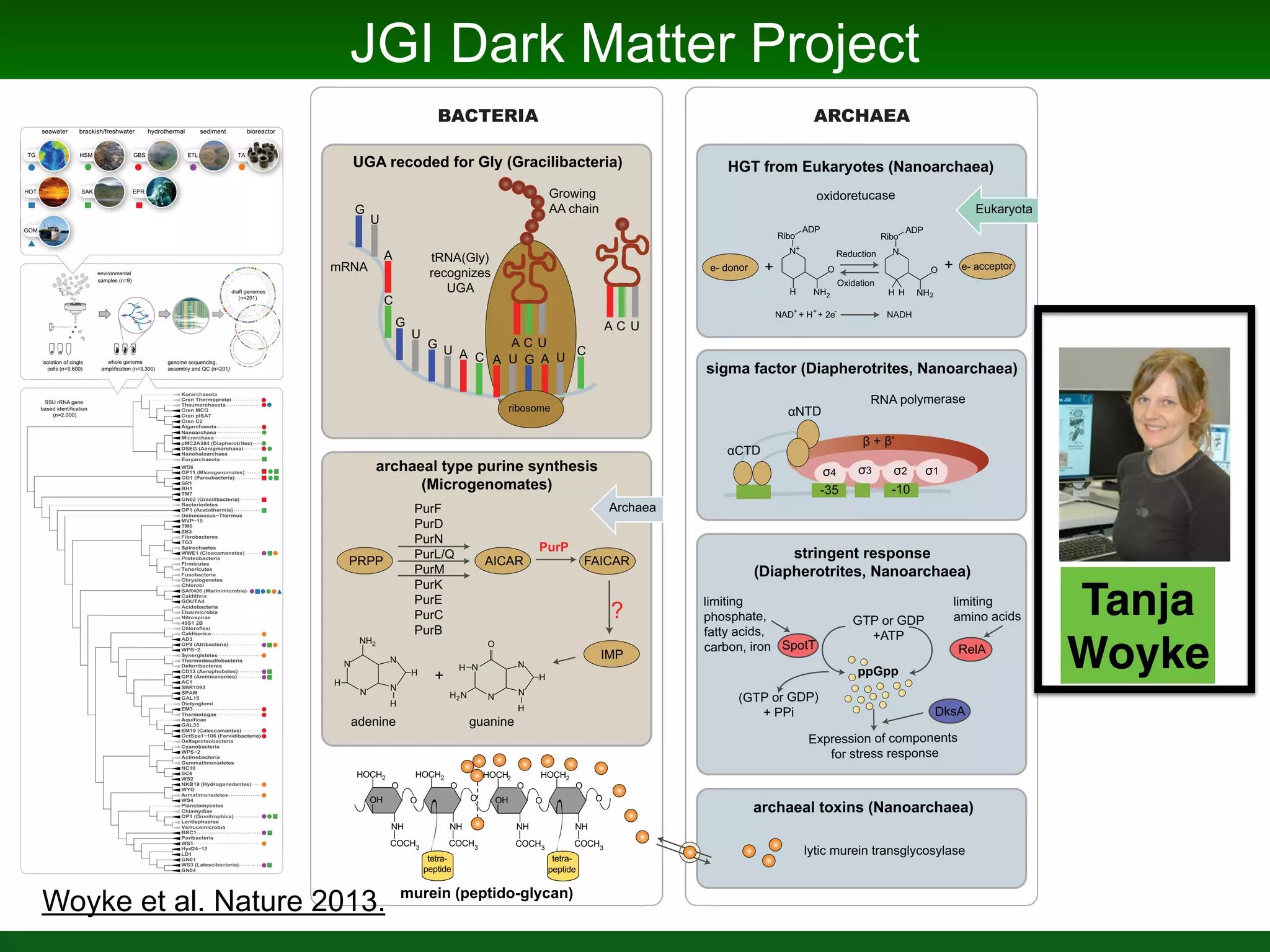JGI Dark Matter Project
environmental
samples (n=9)
isolation of single
cells (n=9,600)
whole genome
amplification (n=3,300)
SSU rRNA gene
based identification
(n=2,000)
genome sequencing,
assembly and QC (n=201)
draft genomes
(n=201)
SAK
HSM ETLTG
HOT
GOM
GBS
EPR
TAETL T
PR
EBS
AK E
SM G TATTG
OM
OT
seawater brackish/freshwater hydrothermal sediment bioreactor
GN04
WS3 (Latescibacteria)
GN01
+Gí
LD1
WS1
Poribacteria
BRC1
Lentisphaerae
Verrucomicrobia
OP3 (Omnitrophica)
Chlamydiae
Planctomycetes
NKB19 (Hydrogenedentes)
WYO
Armatimonadetes
WS4
Actinobacteria
Gemmatimonadetes
NC10
SC4
WS2
Cyanobacteria
:36í2
Deltaproteobacteria
EM19 (Calescamantes)
2FW6SDí )HUYLGLEDFWHULD 