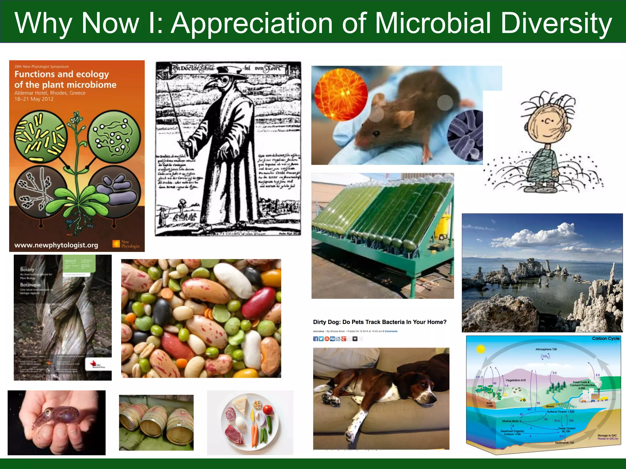 Eisen Lab “Topics”
Phylogenomic
Methods
 Tools
Microbial
Phylogenomics

Evolvability
Phylogenomic
Resources

Reference Data
Communication

Participation
In Microbiology
 Science
Model
Systems
 