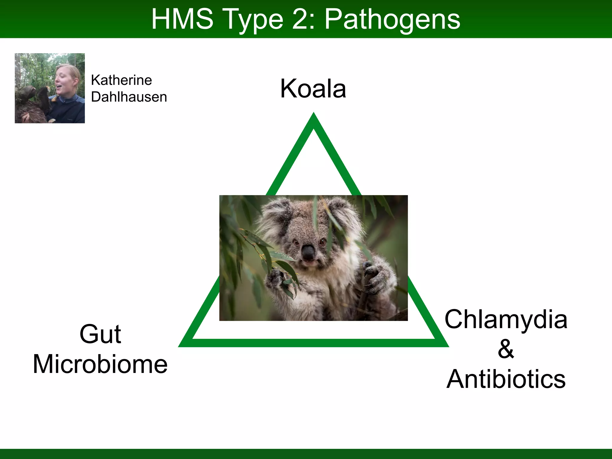 HMS Type 1: Nutrient Acquisition
Oloton
Corn
Mucilage
Microbiome
Low
N
 
