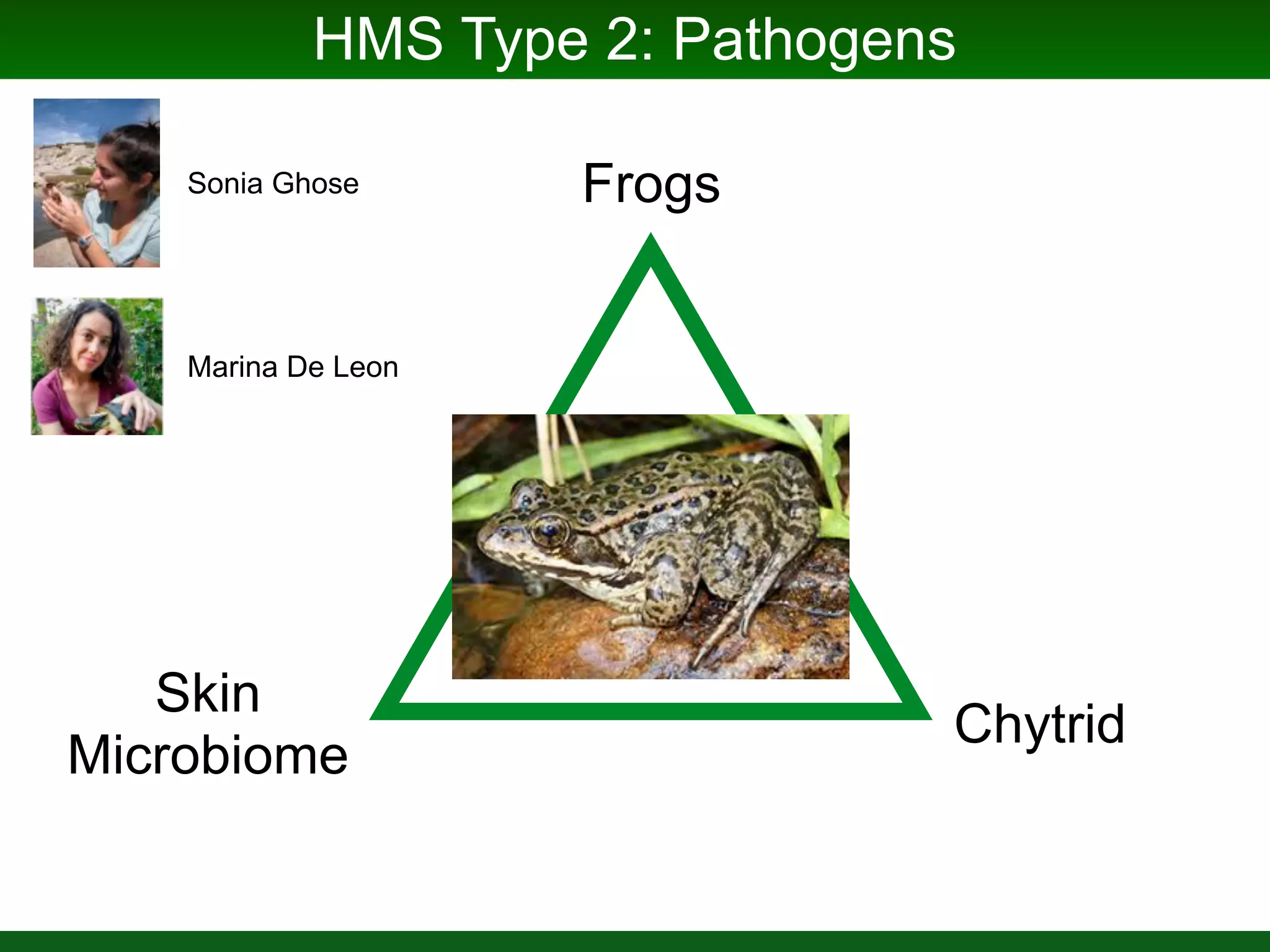 HMS Type 2: Pathogens
Host
Microbiome Pathogen
 