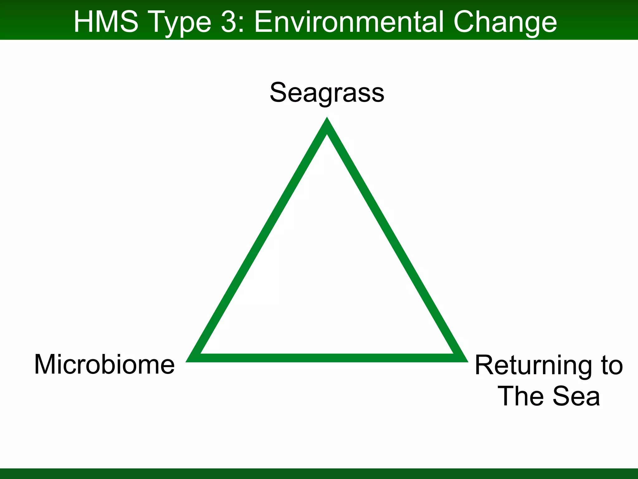 Slide from Jay Stachowicz
Z. marina is abundant throughout northern hemisphere
 