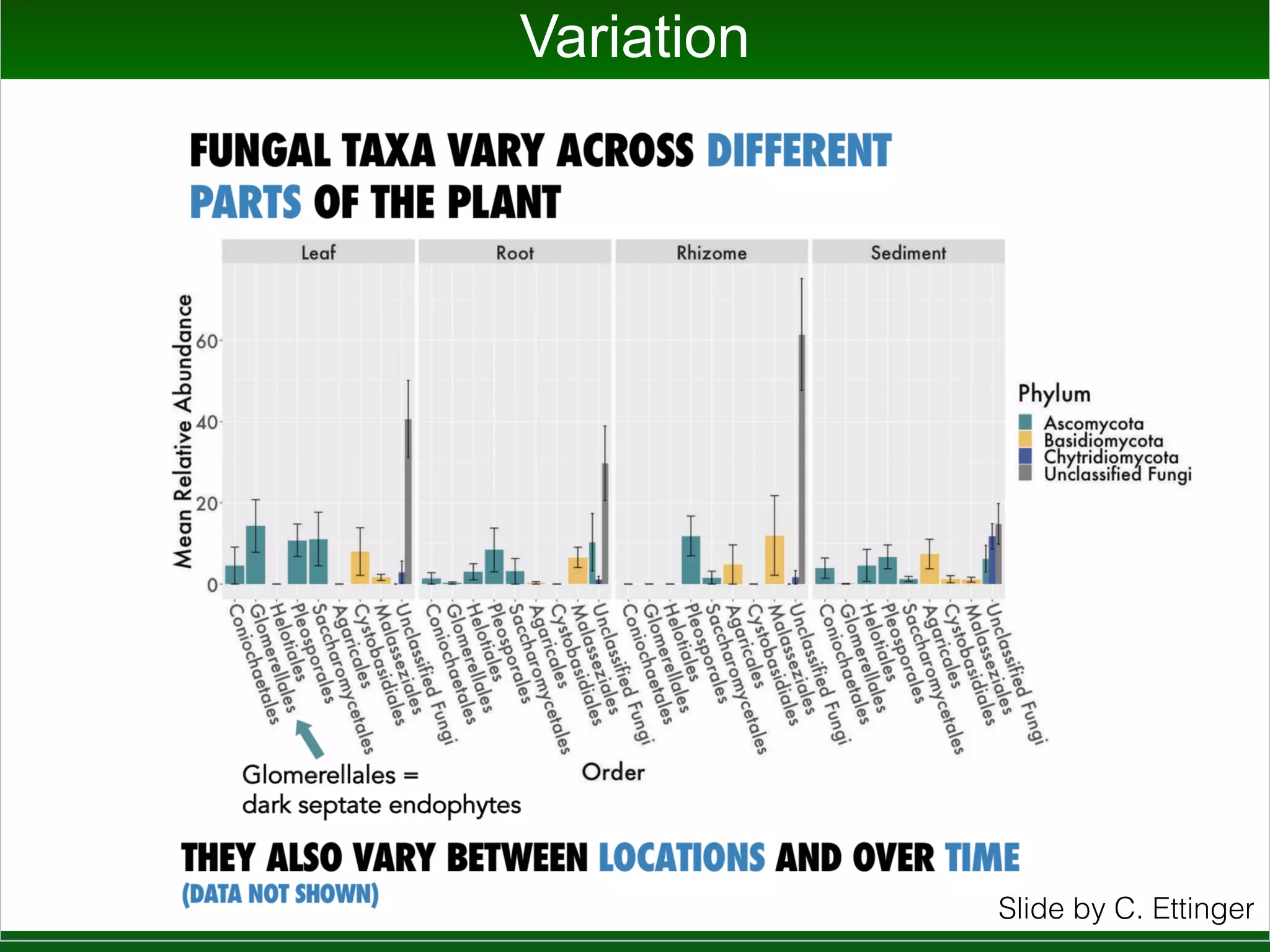 Don’t Forget the Fungi
Ettinger CL, Eisen JA. Characterization of the mycobiome of the seagrass, Zostera marina, reveals
putative associations with marine chytrids. Frontiers in Microbiology 10: 2476. doi: 10.3389/fmicb.
2019.02476.
Cassie Ettinger
 