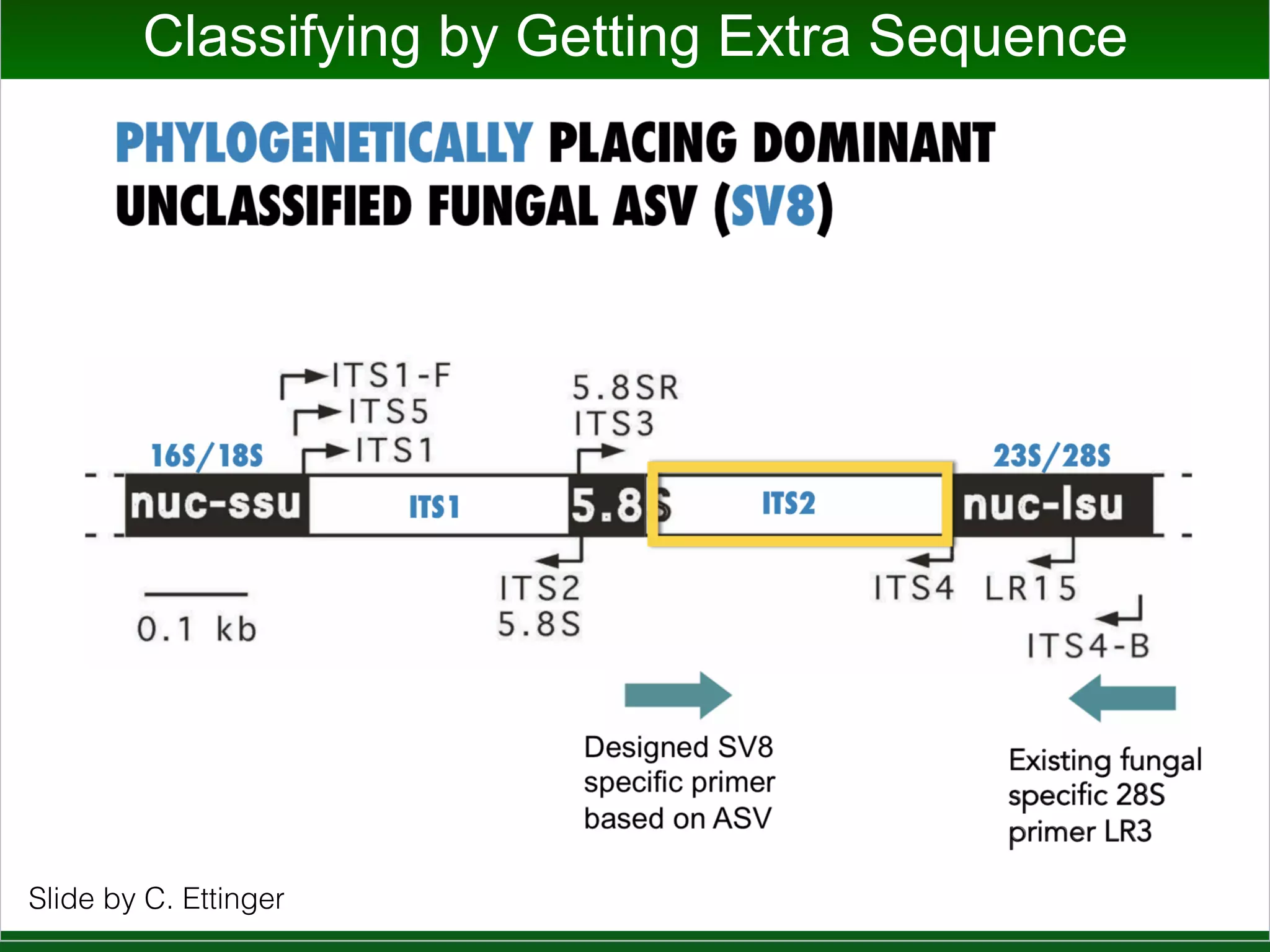 Variation
Slide by C. Ettinger
 