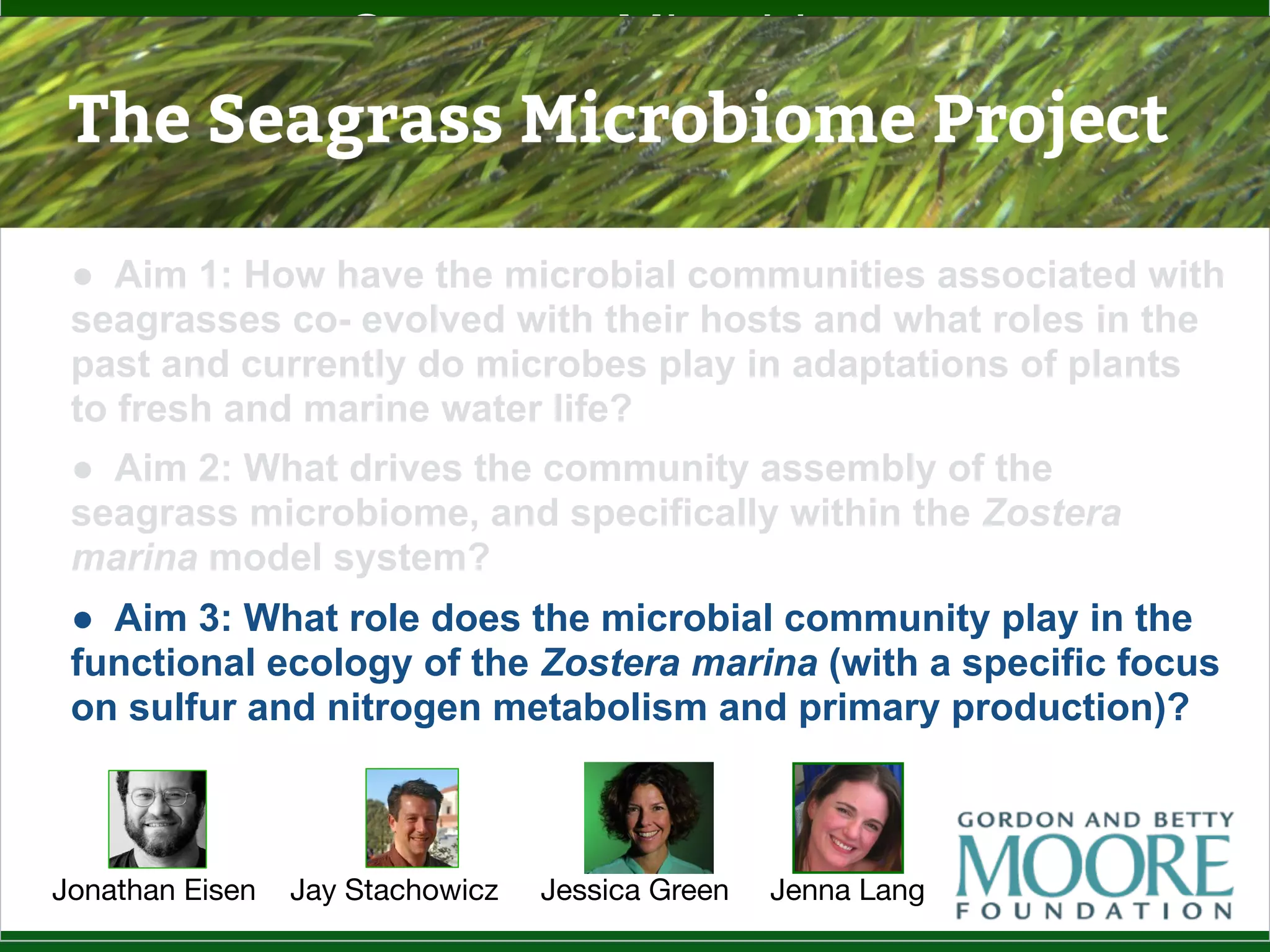 But Only From A Few ASVs
Slide by C. EttingerSlide by C. Ettinger
 