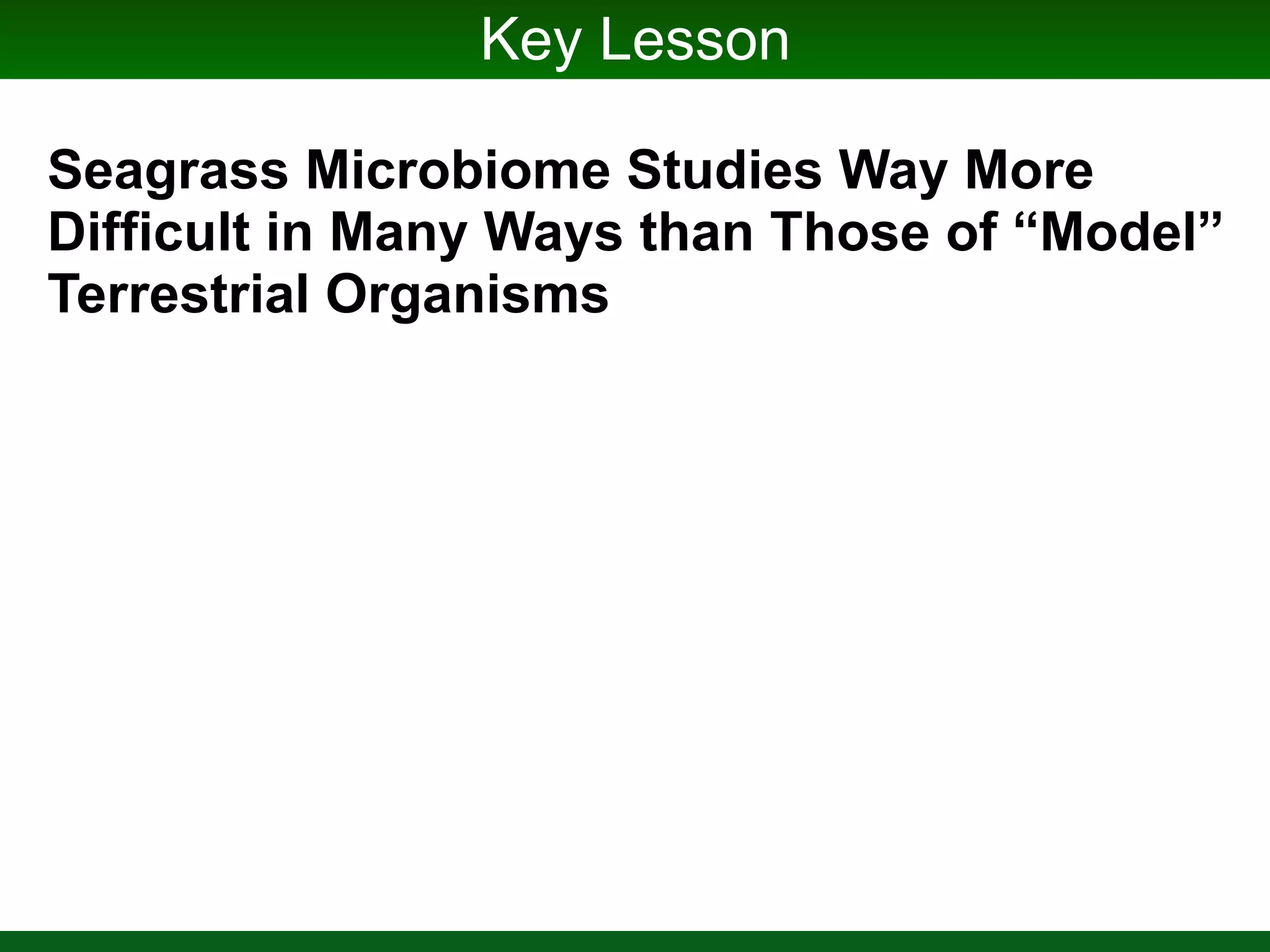 Succession During Ammonification
Ettinger CL, Williams SL, Abbott JM, Stachowicz JJ,
Eisen JA. (2017) Microbiome succession during
ammoniﬁcation in eelgrass bed sediments. PeerJ
5:e3674 https://doi.org/10.7717/peerj.3674
Susan

Williams
Cassie 

Ettinger
Jessica

Abbott
Changes appear
driven by sulfur
cycling w/
decreases in sulfur
reducers
(Desulfobacterales)
and corresponding
increases in sulfide
oxidizers
(Alteromonadales
and Thiotrichales).
 