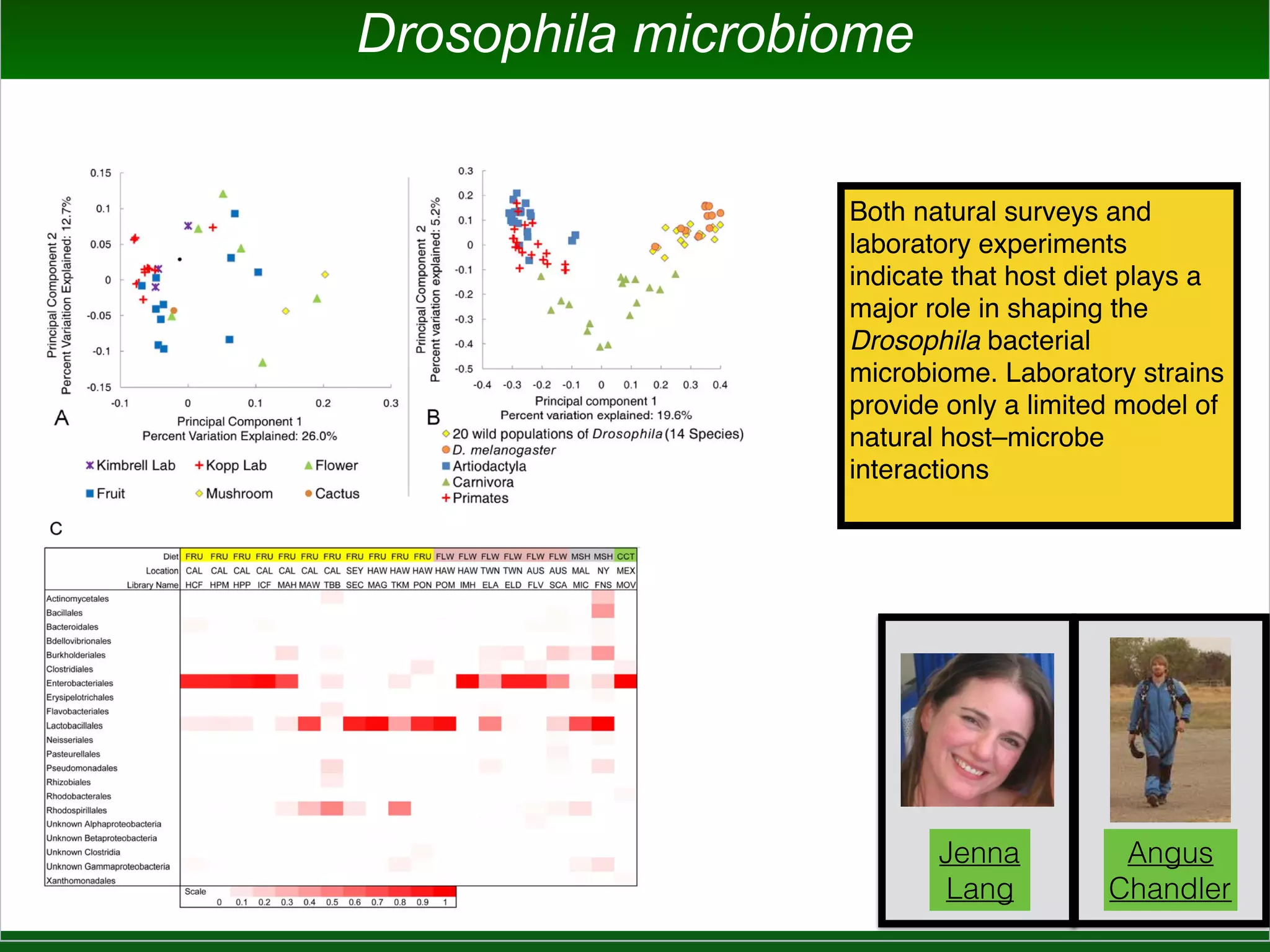Key Lesson
Seagrass Microbiome Studies Way More
Difficult in Many Ways than Those of “Model”
Terrestrial Organisms
 