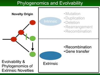 Evolution of microbiomes and the evolution of the study and politics of microbiomes  (or, how can something be both ridiculously overhyped and horrifically under-appreciated) Slide 13