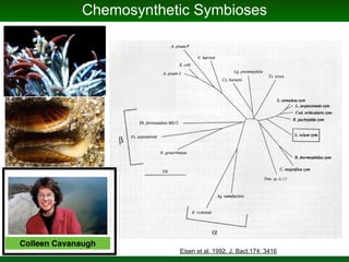 Evolution of microbiomes and the evolution of the study and politics of microbiomes  (or, how can something be both ridiculously overhyped and horrifically under-appreciated) Slide 38