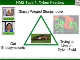 Phylogenomics and the Diversity and Diversification of Microbes | PDF