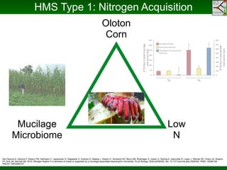 Phylogenomics and the Diversity and Diversification of Microbes | PDF