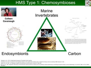 Phylogenomics and the Diversity and Diversification of Microbes | PDF