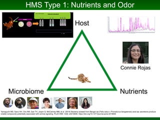 Phylogenomics and the Diversity and Diversification of Microbes | PDF