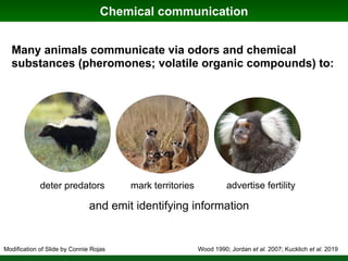 Phylogenomics and the Diversity and Diversification of Microbes | PDF