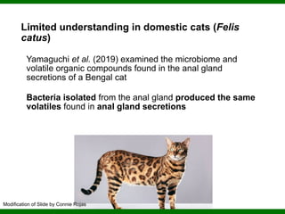 Phylogenomics and the Diversity and Diversification of Microbes | PDF