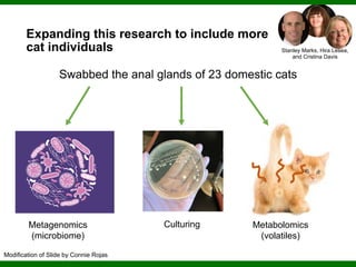Phylogenomics and the Diversity and Diversification of Microbes | PDF