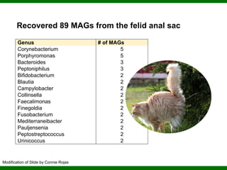 Phylogenomics and the Diversity and Diversification of Microbes | PDF