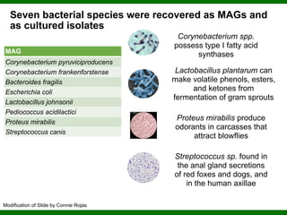 Phylogenomics and the Diversity and Diversification of Microbes | PDF