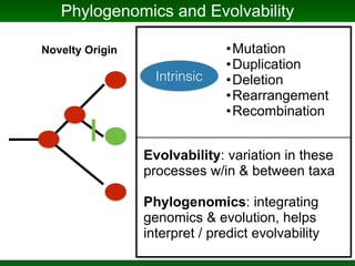 Phylogenomics and the Diversity and Diversification of Microbes | PDF