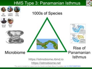 Phylogenomics and the Diversity and Diversification of Microbes | PDF