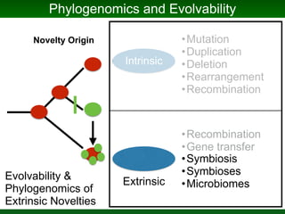 Phylogenomics and the Diversity and Diversification of Microbes | PDF