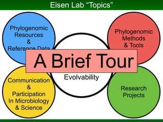 Phylogenomics and the Diversity and Diversification of Microbes | PDF