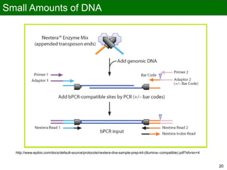 Small Amounts of DNA
20
http://www.epibio.com/docs/default-source/protocols/nextera-dna-sample-prep-kit-(illumina--compatible).pdf?sfvrsn=4
20
 