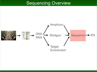 DNA
RNA
Amplicon
Shotgun
Target
Enrichment
Sequence IFX
Sequencing Overview
 