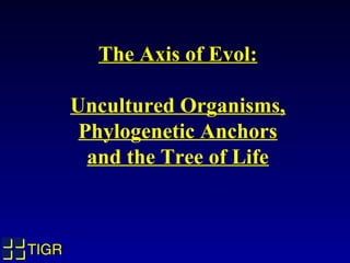 The Axis of Evol:

       Uncultured Organisms,
        Phylogenetic Anchors
         and the Tree of Life



TIGR
 