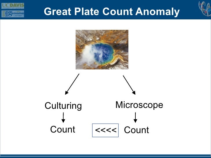 Great Plate Count Anomaly DNACulturing