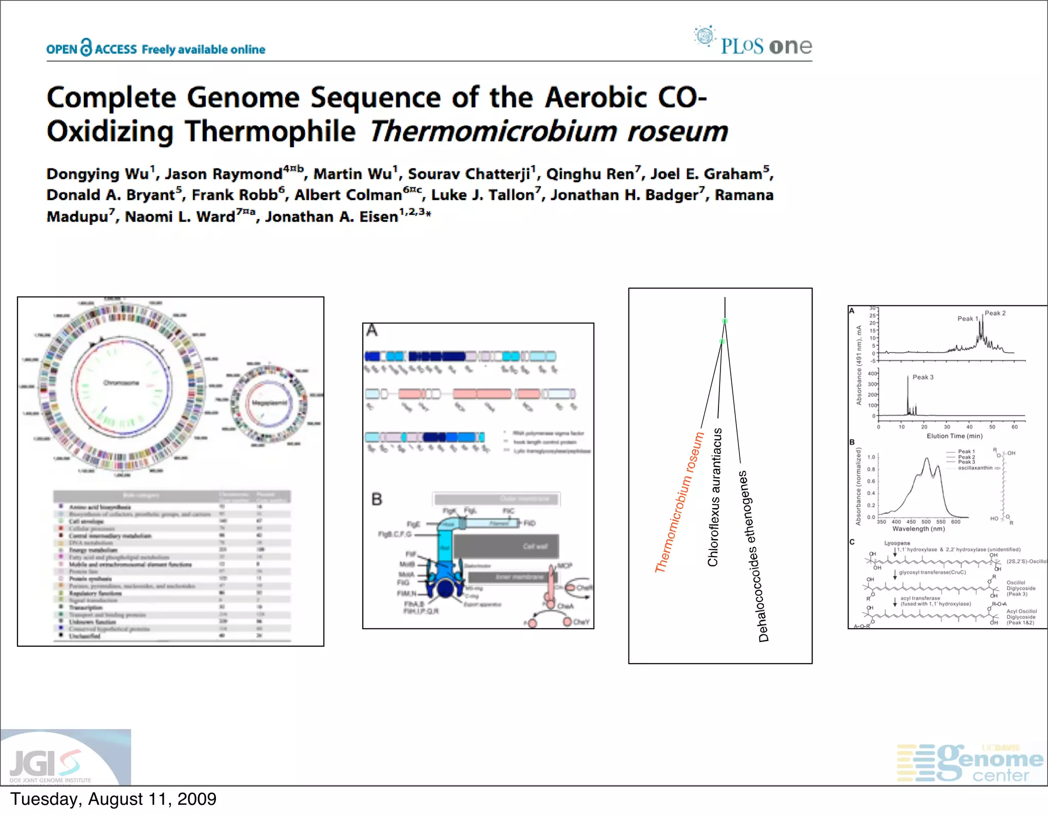 T. roseum
           genome




Tuesday, August 11, 2009
 