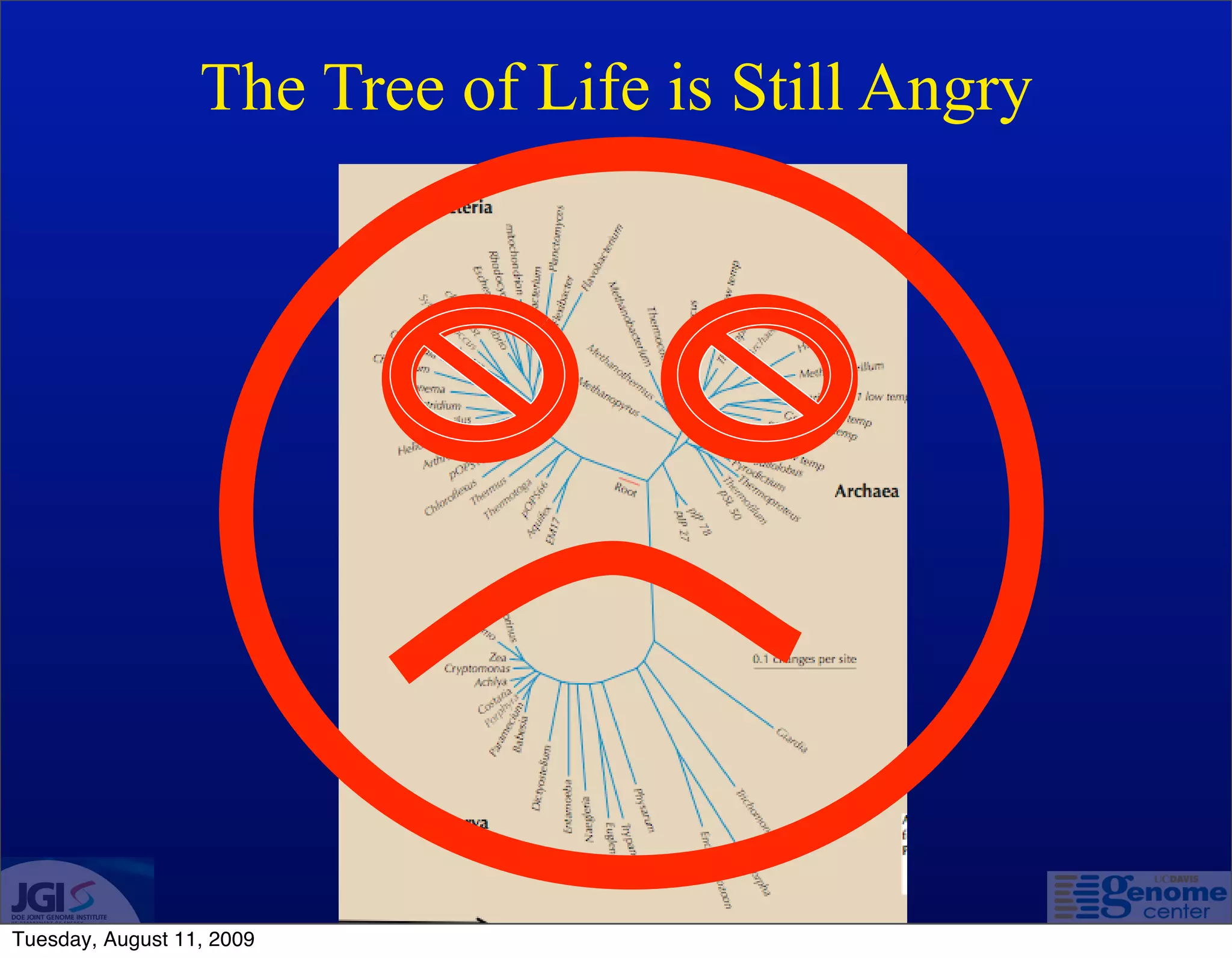 The Tree of Life is Still Angry




Tuesday, August 11, 2009
 