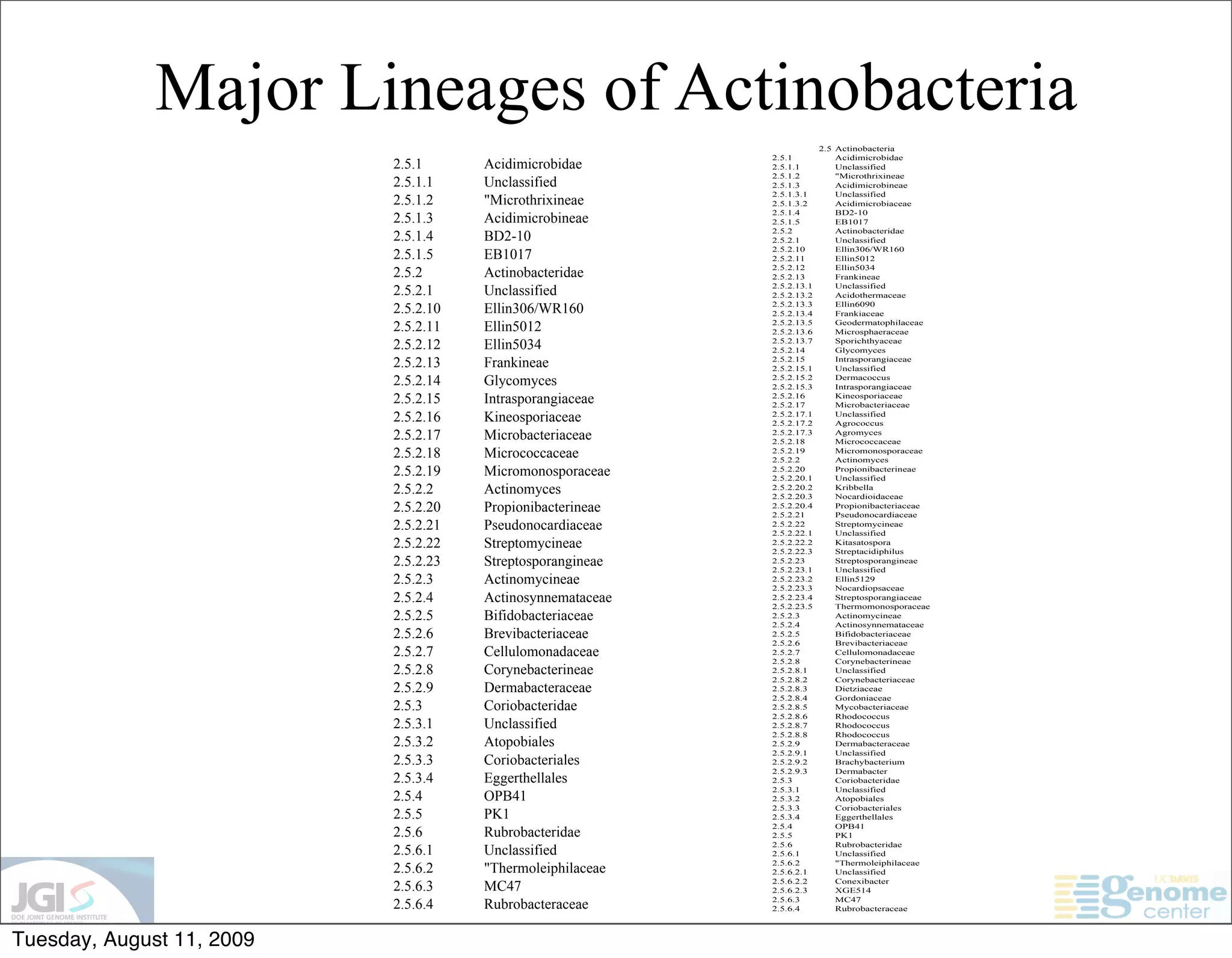 Major Lineages of Actinobacteria
                                                                         2.5 Actinobacteria
                                                            2.5.1            Acidimicrobidae
                           2.5.1      Acidimicrobidae       2.5.1.1          Unclassified
                                                            2.5.1.2          "Microthrixineae
                           2.5.1.1    Unclassified          2.5.1.3          Acidimicrobineae
                                                            2.5.1.3.1        Unclassified
                           2.5.1.2    "Microthrixineae      2.5.1.3.2        Acidimicrobiaceae
                                                            2.5.1.4          BD2-10
                           2.5.1.3    Acidimicrobineae      2.5.1.5          EB1017
                                                            2.5.2            Actinobacteridae
                           2.5.1.4    BD2-10                2.5.2.1          Unclassified
                                                            2.5.2.10         Ellin306/WR160
                           2.5.1.5    EB1017                2.5.2.11         Ellin5012
                                                            2.5.2.12         Ellin5034
                           2.5.2      Actinobacteridae      2.5.2.13         Frankineae
                                                            2.5.2.13.1       Unclassified
                           2.5.2.1    Unclassified          2.5.2.13.2       Acidothermaceae

                           2.5.2.10   Ellin306/WR160        2.5.2.13.3
                                                            2.5.2.13.4
                                                                             Ellin6090
                                                                             Frankiaceae

                           2.5.2.11   Ellin5012             2.5.2.13.5
                                                            2.5.2.13.6
                                                                             Geodermatophilaceae
                                                                             Microsphaeraceae

                           2.5.2.12   Ellin5034             2.5.2.13.7
                                                            2.5.2.14
                                                                             Sporichthyaceae
                                                                             Glycomyces
                           2.5.2.13   Frankineae            2.5.2.15
                                                            2.5.2.15.1
                                                                             Intrasporangiaceae
                                                                             Unclassified
                           2.5.2.14   Glycomyces            2.5.2.15.2
                                                            2.5.2.15.3
                                                                             Dermacoccus
                                                                             Intrasporangiaceae
                           2.5.2.15   Intrasporangiaceae    2.5.2.16
                                                            2.5.2.17
                                                                             Kineosporiaceae
                                                                             Microbacteriaceae
                           2.5.2.16   Kineosporiaceae       2.5.2.17.1
                                                            2.5.2.17.2
                                                                             Unclassified
                                                                             Agrococcus
                           2.5.2.17   Microbacteriaceae     2.5.2.17.3
                                                            2.5.2.18
                                                                             Agromyces
                                                                             Micrococcaceae
                           2.5.2.18   Micrococcaceae        2.5.2.19
                                                            2.5.2.2
                                                                             Micromonosporaceae
                                                                             Actinomyces
                           2.5.2.19   Micromonosporaceae    2.5.2.20
                                                            2.5.2.20.1
                                                                             Propionibacterineae
                                                                             Unclassified
                           2.5.2.2    Actinomyces           2.5.2.20.2
                                                            2.5.2.20.3
                                                                             Kribbella
                                                                             Nocardioidaceae
                           2.5.2.20   Propionibacterineae   2.5.2.20.4
                                                            2.5.2.21
                                                                             Propionibacteriaceae
                                                                             Pseudonocardiaceae
                           2.5.2.21   Pseudonocardiaceae    2.5.2.22
                                                            2.5.2.22.1
                                                                             Streptomycineae
                                                                             Unclassified
                           2.5.2.22   Streptomycineae       2.5.2.22.2
                                                            2.5.2.22.3
                                                                             Kitasatospora
                                                                             Streptacidiphilus
                           2.5.2.23   Streptosporangineae   2.5.2.23
                                                            2.5.2.23.1
                                                                             Streptosporangineae
                                                                             Unclassified
                           2.5.2.3    Actinomycineae        2.5.2.23.2
                                                            2.5.2.23.3
                                                                             Ellin5129
                                                                             Nocardiopsaceae
                           2.5.2.4    Actinosynnemataceae   2.5.2.23.4
                                                            2.5.2.23.5
                                                                             Streptosporangiaceae
                                                                             Thermomonosporaceae
                           2.5.2.5    Bifidobacteriaceae    2.5.2.3          Actinomycineae
                                                            2.5.2.4          Actinosynnemataceae
                           2.5.2.6    Brevibacteriaceae     2.5.2.5          Bifidobacteriaceae
                                                            2.5.2.6          Brevibacteriaceae
                           2.5.2.7    Cellulomonadaceae     2.5.2.7          Cellulomonadaceae
                                                            2.5.2.8          Corynebacterineae
                           2.5.2.8    Corynebacterineae     2.5.2.8.1        Unclassified
                                                            2.5.2.8.2        Corynebacteriaceae
                           2.5.2.9    Dermabacteraceae      2.5.2.8.3        Dietziaceae
                                                            2.5.2.8.4        Gordoniaceae
                           2.5.3      Coriobacteridae       2.5.2.8.5        Mycobacteriaceae
                                                            2.5.2.8.6        Rhodococcus
                           2.5.3.1    Unclassified          2.5.2.8.7        Rhodococcus
                                                            2.5.2.8.8        Rhodococcus
                           2.5.3.2    Atopobiales           2.5.2.9          Dermabacteraceae
                                                            2.5.2.9.1        Unclassified
                           2.5.3.3    Coriobacteriales      2.5.2.9.2        Brachybacterium
                                                            2.5.2.9.3        Dermabacter
                           2.5.3.4    Eggerthellales        2.5.3            Coriobacteridae
                                                            2.5.3.1          Unclassified
                           2.5.4      OPB41                 2.5.3.2          Atopobiales
                                                            2.5.3.3          Coriobacteriales
                           2.5.5      PK1                   2.5.3.4          Eggerthellales
                                                            2.5.4            OPB41
                           2.5.6      Rubrobacteridae       2.5.5            PK1
                                                            2.5.6            Rubrobacteridae
                           2.5.6.1    Unclassified          2.5.6.1          Unclassified
                                                            2.5.6.2          "Thermoleiphilaceae
                           2.5.6.2    "Thermoleiphilaceae   2.5.6.2.1        Unclassified
                                                            2.5.6.2.2        Conexibacter
                           2.5.6.3    MC47                  2.5.6.2.3        XGE514
                                                            2.5.6.3          MC47
                           2.5.6.4    Rubrobacteraceae      2.5.6.4          Rubrobacteraceae



Tuesday, August 11, 2009
 
