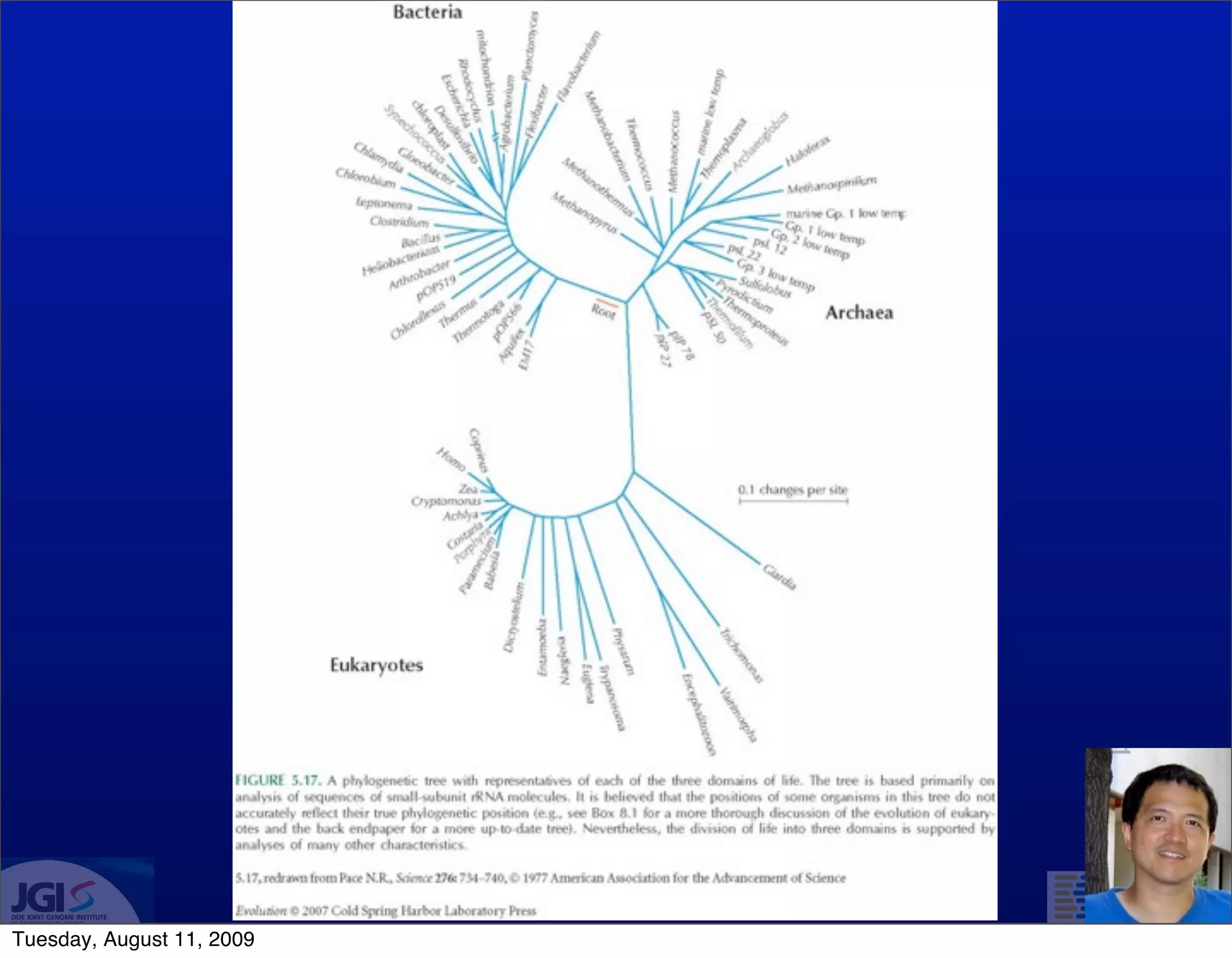 Tuesday, August 11, 2009
 