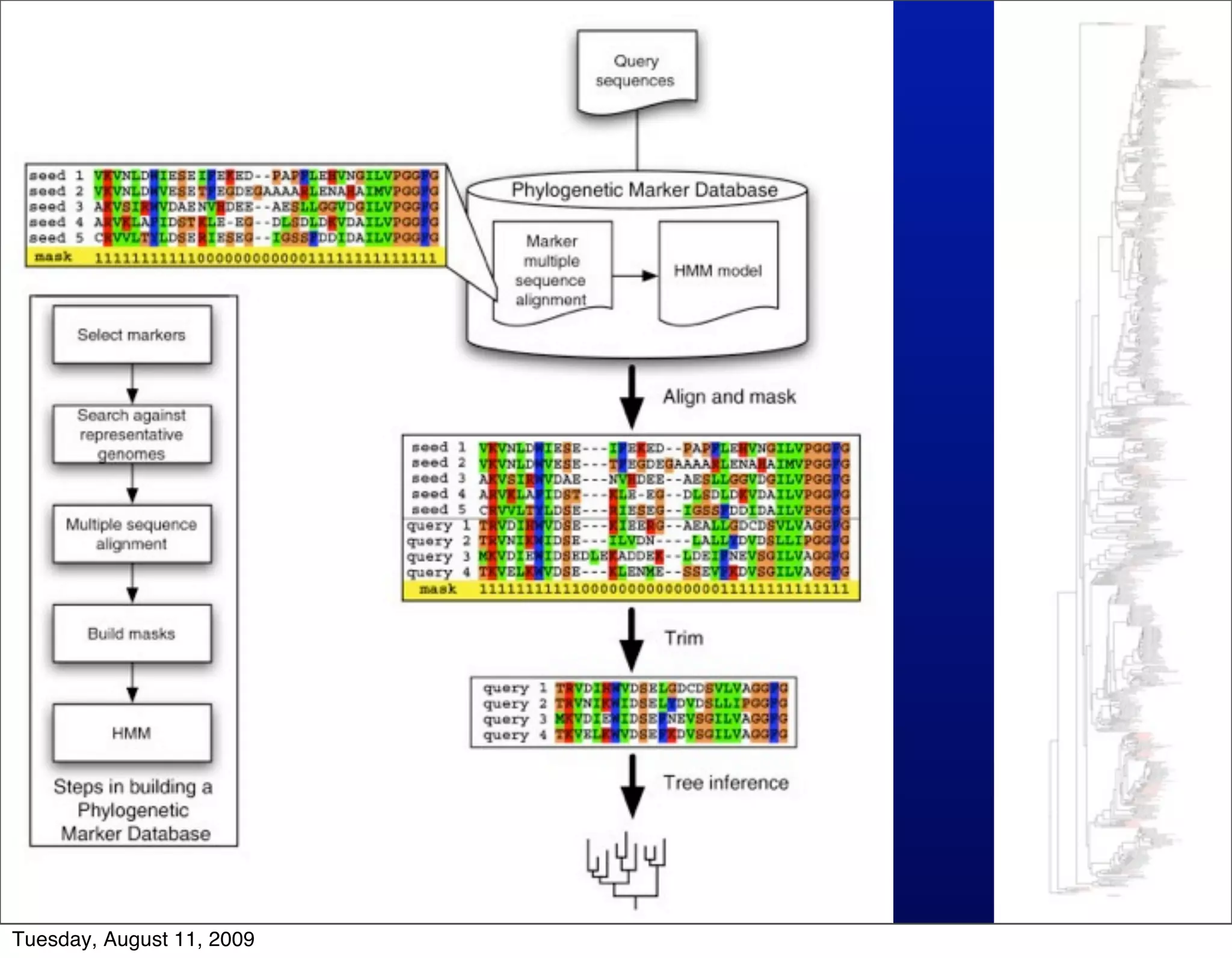 Tuesday, August 11, 2009
 