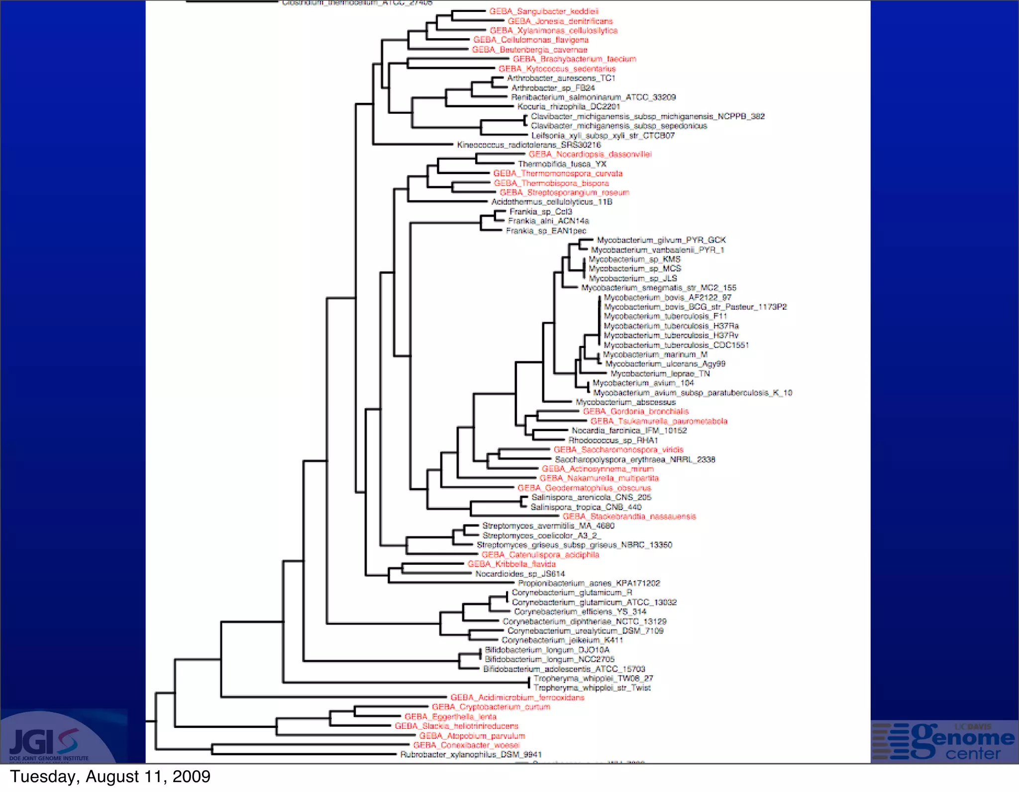 Tuesday, August 11, 2009
 