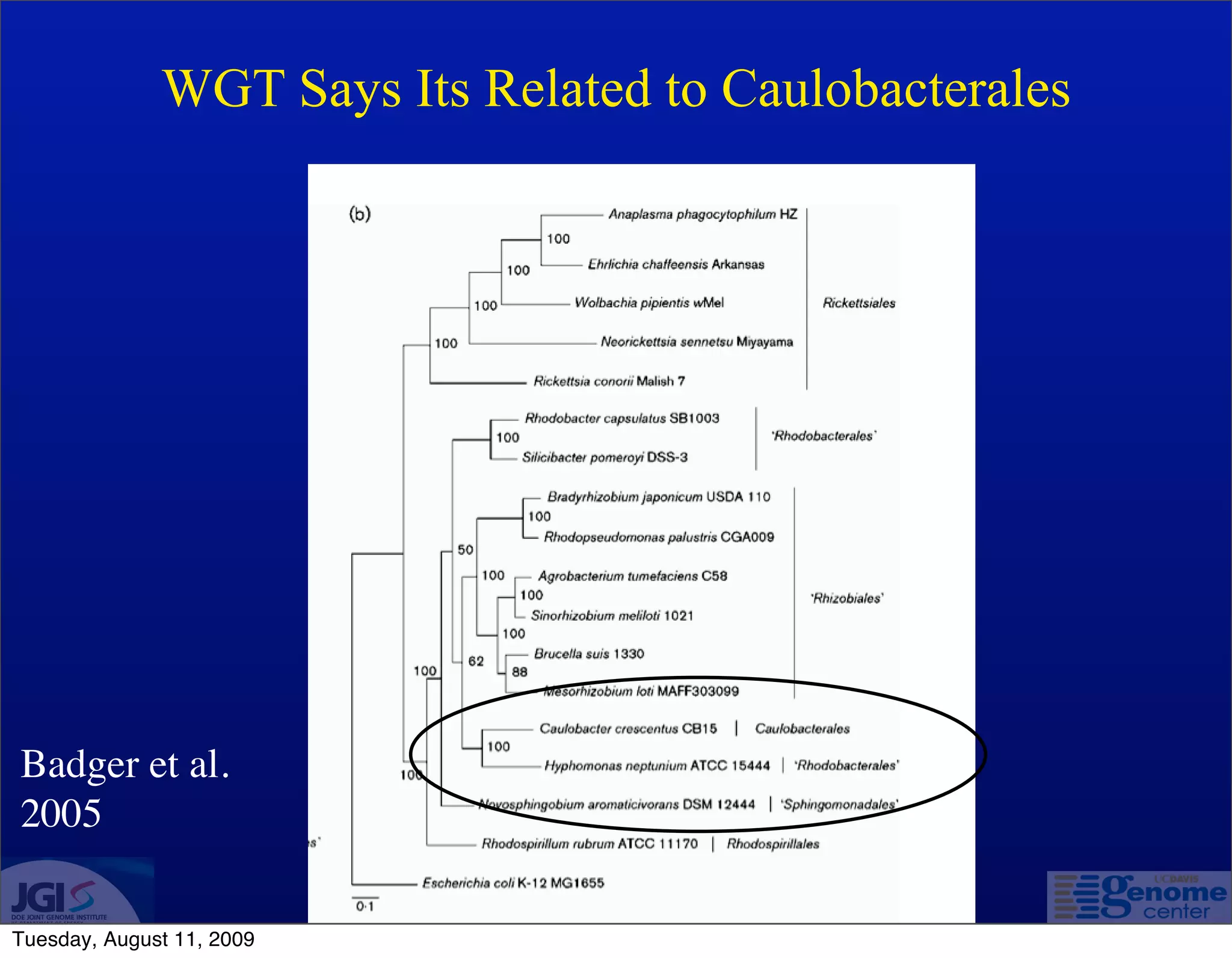 WGT Says Its Related to Caulobacterales




Badger et al.
2005

Tuesday, August 11, 2009
 