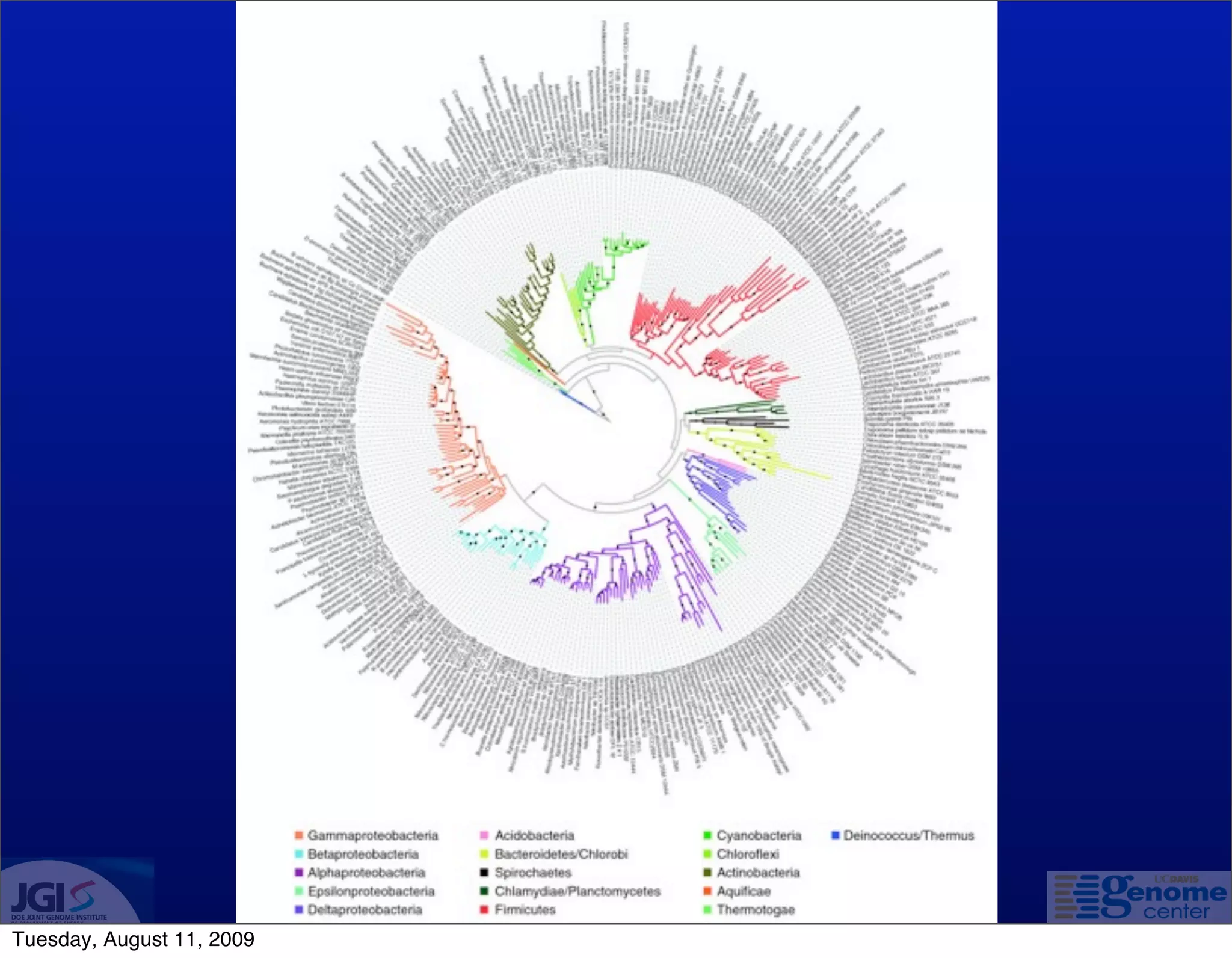 Tuesday, August 11, 2009
 