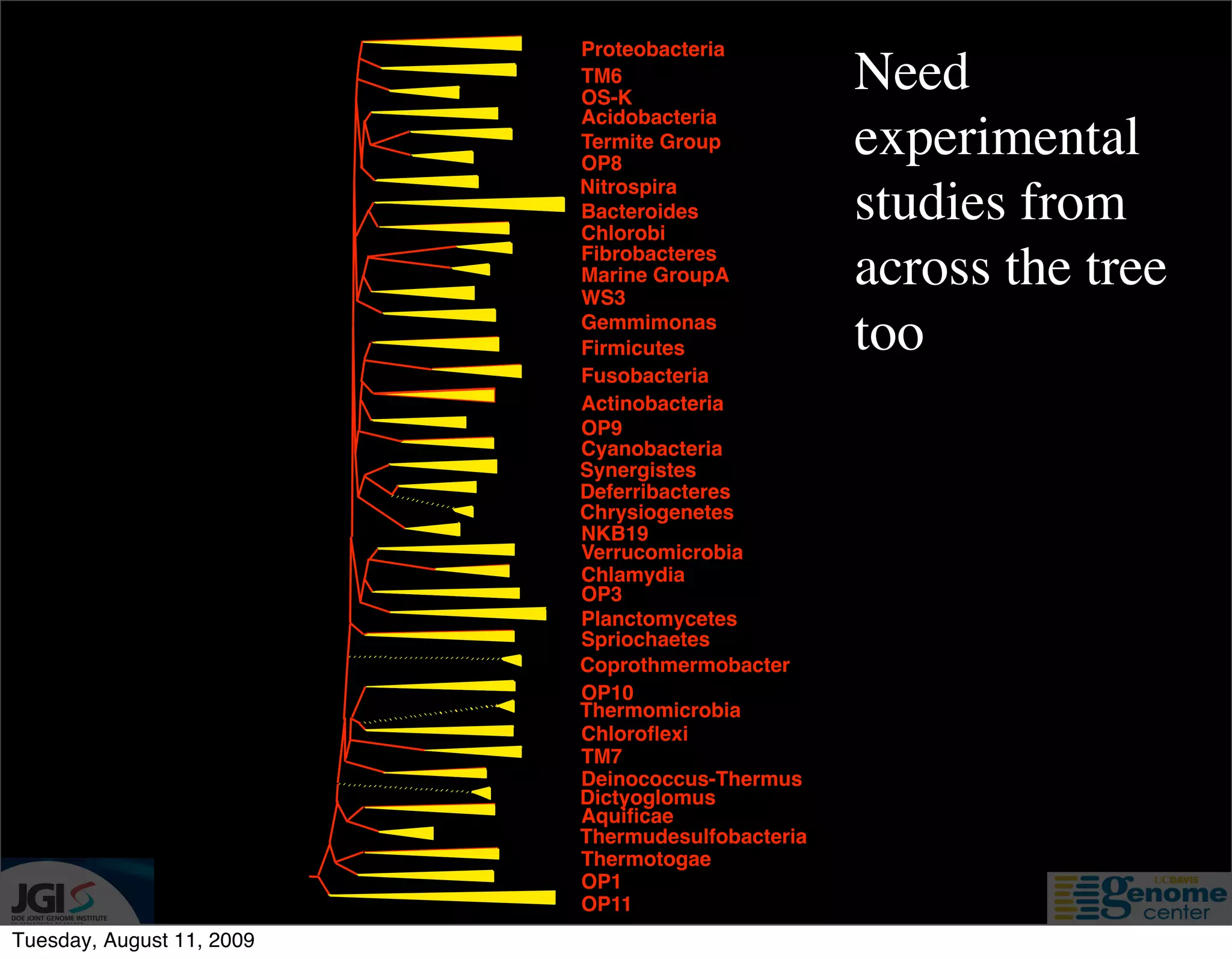 Proteobacteria
                           TM6
                           OS-K
                                                   Need
                           Acidobacteria
                           Termite Group
                           OP8
                                                   experimental
                           Nitrospira
                           Bacteroides
                           Chlorobi
                                                   studies from
                           Fibrobacteres
                           Marine GroupA
                           WS3
                                                   across the tree
                           Gemmimonas
                           Firmicutes              too
                           Fusobacteria
                           Actinobacteria
                           OP9
                           Cyanobacteria
                           Synergistes
                           Deferribacteres
                           Chrysiogenetes
                           NKB19
                           Verrucomicrobia
                           Chlamydia
                           OP3
                           Planctomycetes
                           Spriochaetes
                           Coprothmermobacter
                           OP10
                           Thermomicrobia
                           Chloroﬂexi
                           TM7
                           Deinococcus-Thermus
                           Dictyoglomus
                           Aquiﬁcae
                           Thermudesulfobacteria
                           Thermotogae
                           OP1
                           OP11
Tuesday, August 11, 2009
 