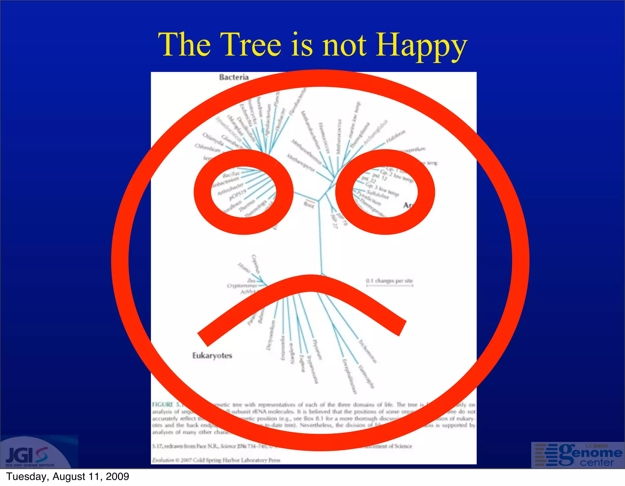 The Tree is not Happy




Tuesday, August 11, 2009
 