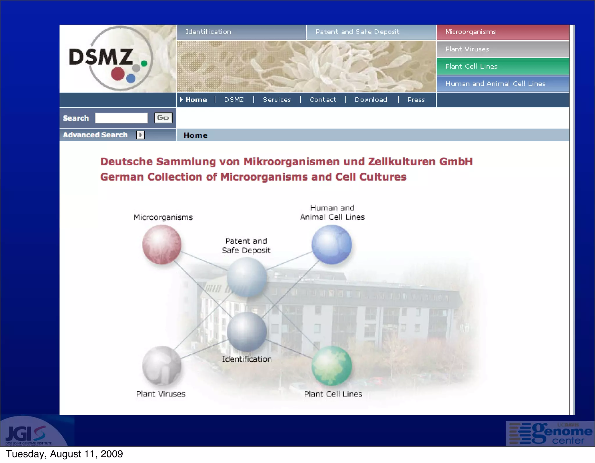 Tuesday, August 11, 2009
 