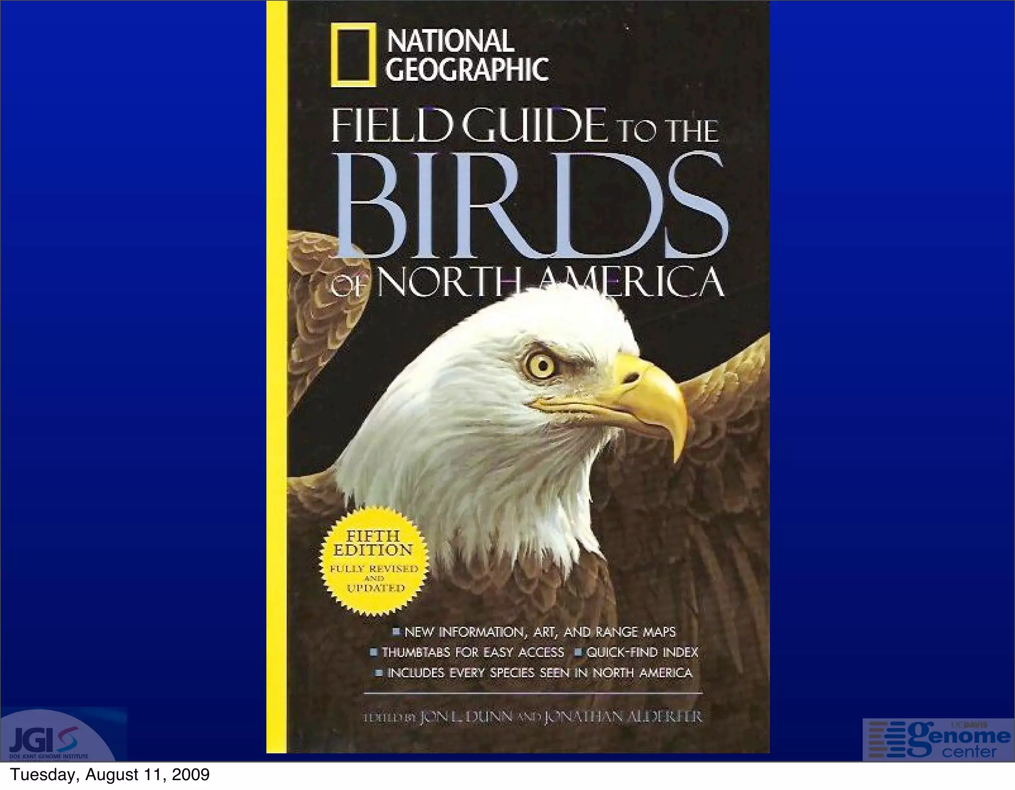 Tuesday, August 11, 2009
 