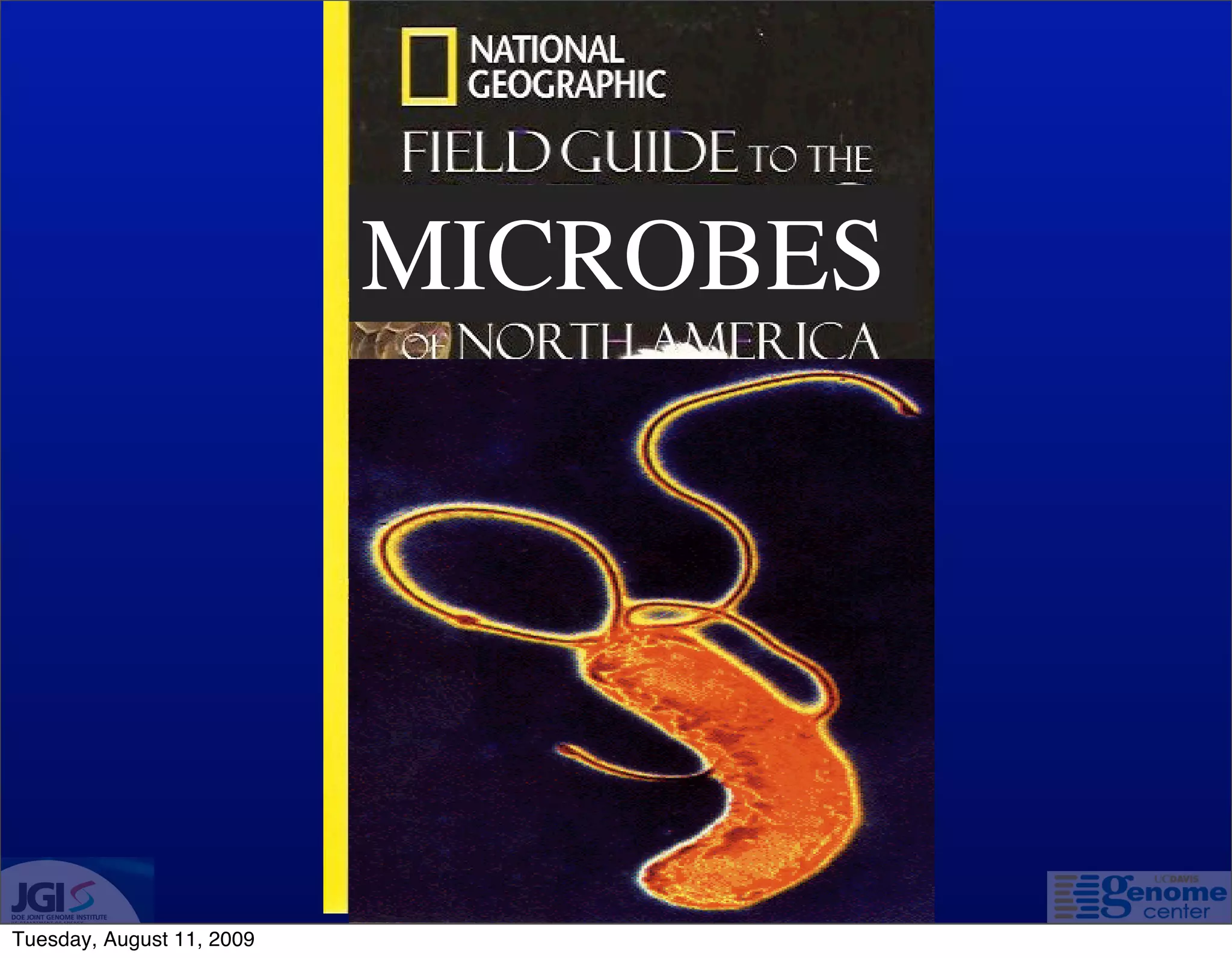 MICROBES




Tuesday, August 11, 2009
 