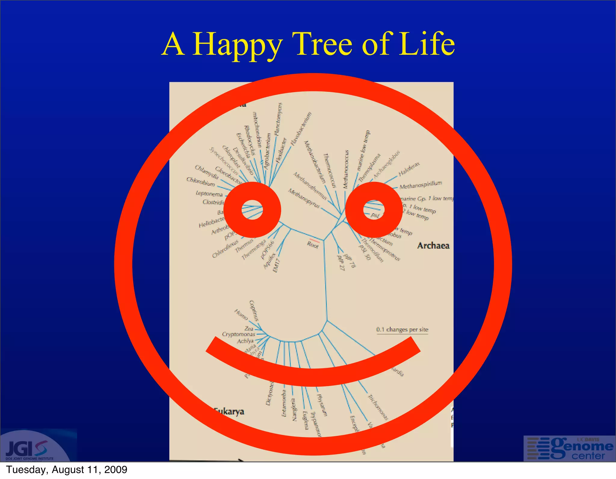 A Happy Tree of Life




Tuesday, August 11, 2009
 
