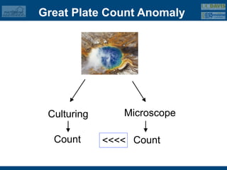 Great Plate Count Anomaly


                          DNA




 Culturing      Microscope

  Count      <<<< Count
 