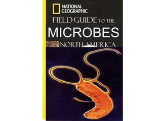 A Field Guide to Microbes

• What should be included
  •   Catalog of types of organism
  •   Functional diversity
  •   B...